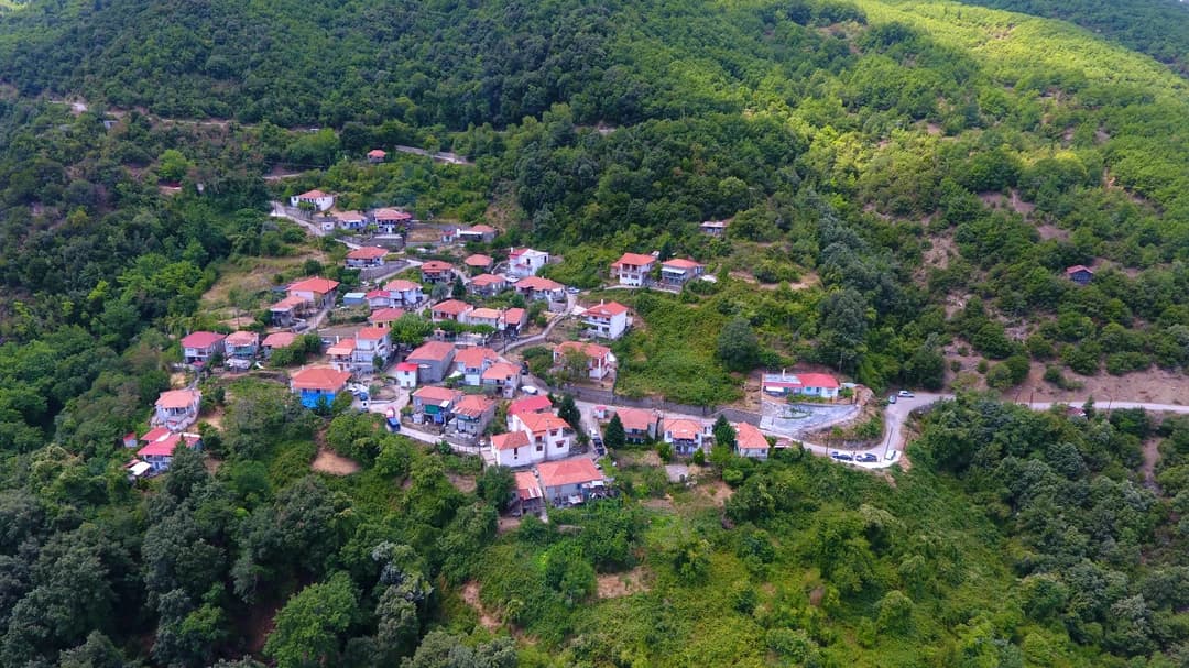 Φωτογραφία 1