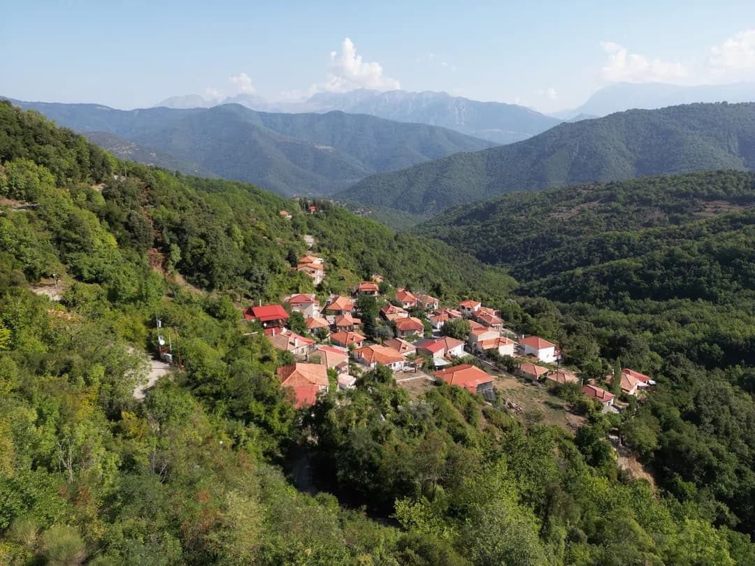 Φωτογραφία 8